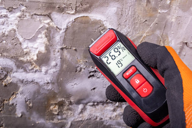 Best Residential Mold Removal  in Madison, SD