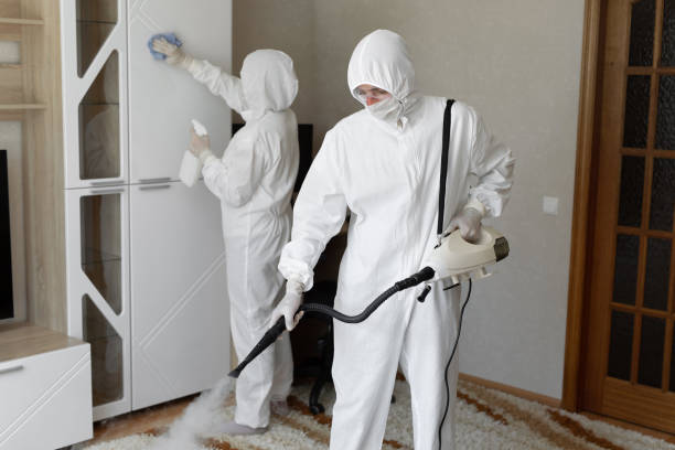 Best Professional Mold Removal  in Madison, SD